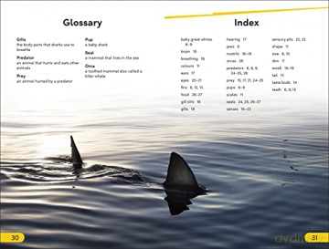 Great White Sharks Level 2 - Dk [KSIĄŻKA]