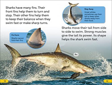 Great White Sharks Level 2 - Dk [KSIĄŻKA]