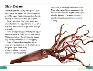 Giant Squid Level 3 - Dk [KSIĄŻKA]