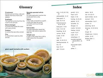 Giant Squid Level 3 - Dk [KSIĄŻKA]
