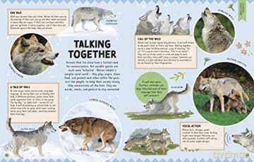 Animal Talk - Michael Leach [KSIĄŻKA]