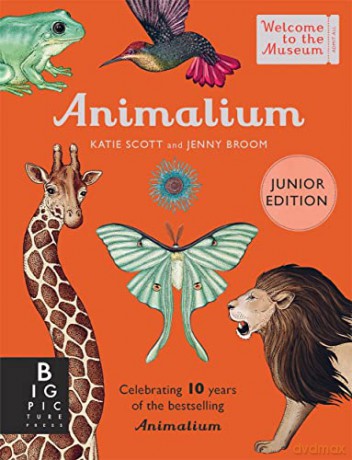 Animalium - Jenny Broom [KSIĄŻKA]