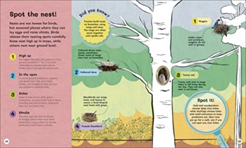 Childrens Book Of Birdwatching - Dan Rouse [KSIĄŻKA]