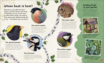 Childrens Book Of Birdwatching - Dan Rouse [KSIĄŻKA]