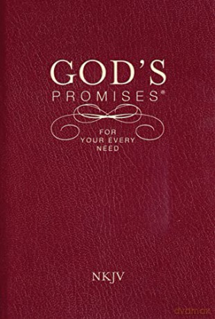 God's Promise - Unknown [KSIĄŻKA]