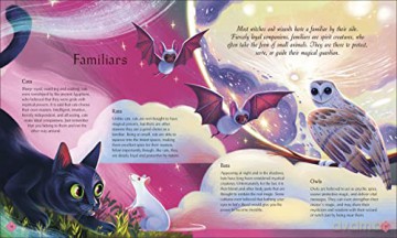 Book Of Mysteries Magic/The Unexplained - Tamara Macfarlane [KSIĄŻKA]