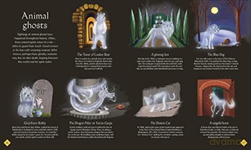 Book Of Mysteries Magic/The Unexplained - Tamara Macfarlane [KSIĄŻKA]
