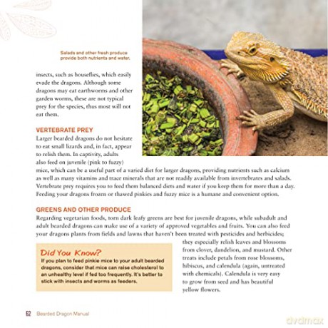Bearded Dragon Manual 3 Edition - De Vosjoil P [KSIĄŻKA]