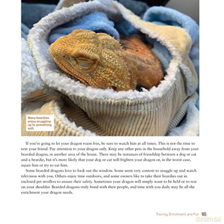 Bearded Dragon Manual 3 Edition - De Vosjoil P [KSIĄŻKA]