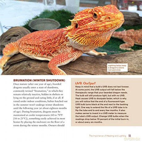 Bearded Dragon Manual 3 Edition - De Vosjoil P [KSIĄŻKA]