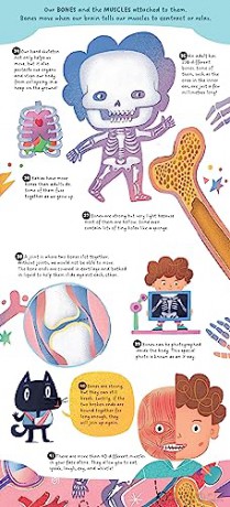 Human Body - Yoyo Books [KSIĄŻKA]