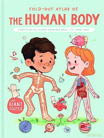 Foldout Atlas Of The Human Body - Yoyo Books [KSIĄŻKA]
