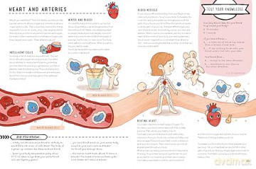 Foldout Atlas Of The Human Body - Yoyo Books [KSIĄŻKA]