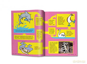Animal Factopia - Julie Beer [KSIĄŻKA]