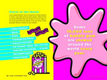 How It Happened Gum - Paige Towler [KSIĄŻKA]