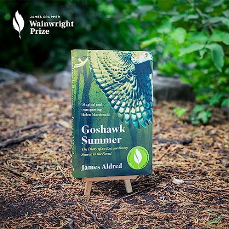 Goshawk Summer - Aldred James [KSIĄŻKA]