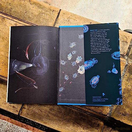 Bathysphere Book - Brad Fox [KSIĄŻKA]