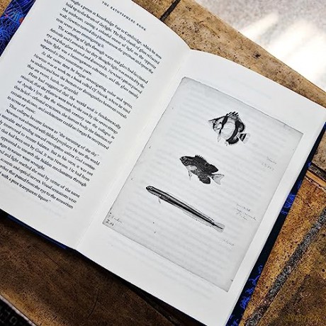 Bathysphere Book - Brad Fox [KSIĄŻKA]