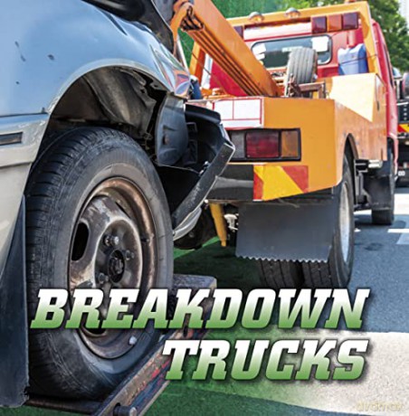 Breakdown Trucks - Dickmann Nancy [KSIĄŻKA]
