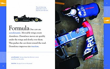 Formula One Cars - Ashley Gish [KSIĄŻKA]