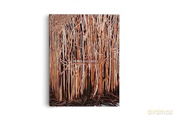 Doris Salcedo [KSIĄŻKA]