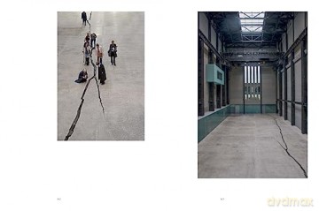 Doris Salcedo [KSIĄŻKA]