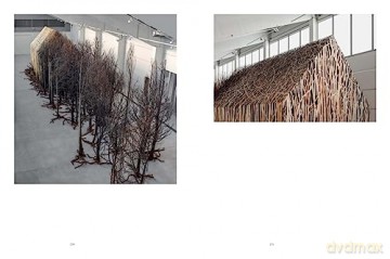 Doris Salcedo [KSIĄŻKA]