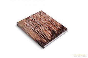 Doris Salcedo [KSIĄŻKA]