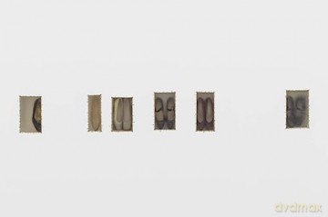 Doris Salcedo [KSIĄŻKA]