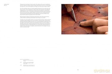 Doris Salcedo [KSIĄŻKA]