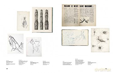Germaine Richier - Ariane Coulondre [KSIĄŻKA]