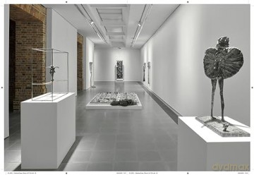 Barbara Chase Riboud [KSIĄŻKA]