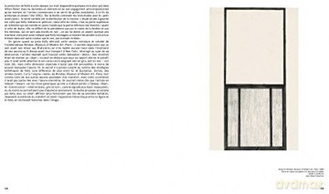 Ellsworth Kelly Windows - Ellsworth Kelly [KSIĄŻKA]