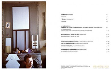 Ellsworth Kelly Windows - Ellsworth Kelly [KSIĄŻKA]