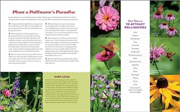 Garden Makers Book Of Wonder - Al Vallin Kostovick [KSIĄŻKA]