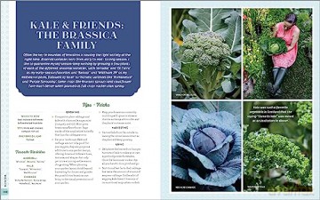 Garden Makers Book Of Wonder - Al Vallin Kostovick [KSIĄŻKA]