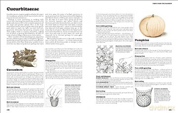 Complete Book Of Self Sufficiency - John Seymour [KSIĄŻKA]