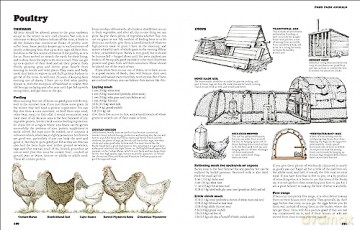 Complete Book Of Self Sufficiency - John Seymour [KSIĄŻKA]