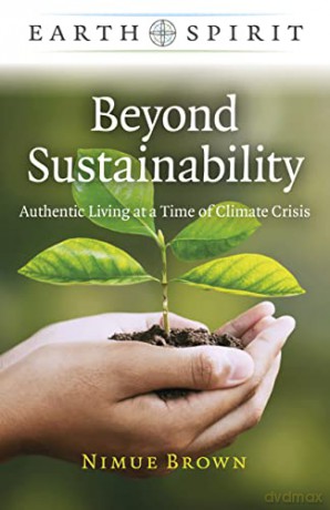 Beyond Sustainability - Nimue Brown [KSIĄŻKA]