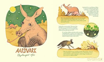 Genius Noses A Curious Animal Compendium - Lena Anlauf [KSIĄŻKA]