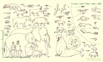 Genius Noses A Curious Animal Compendium - Lena Anlauf [KSIĄŻKA]