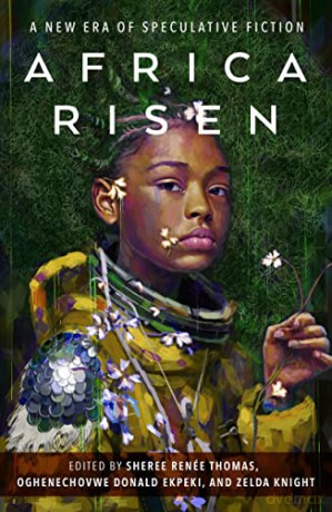 Africa Risen - Ren E Sher Thomas [KSIĄŻKA]