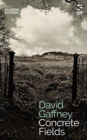 Concrete Fields - David Gaffney [KSIĄŻKA]