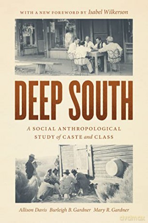 Deep South - Allison Davis [KSIĄŻKA]