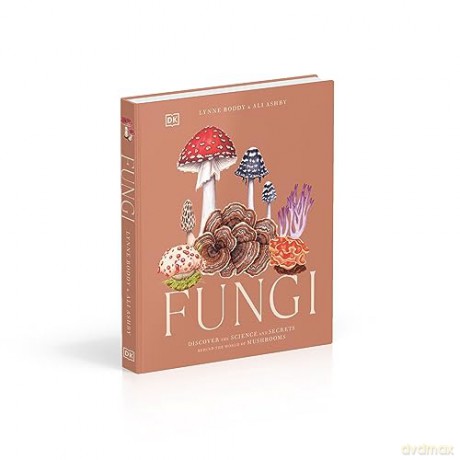 Fungi - Lynne Boddy [KSIĄŻKA]
