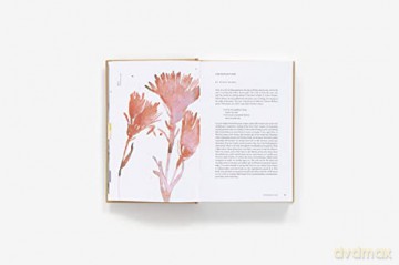 American Wildflowers A Literary Fi - Susan Barba [KSIĄŻKA]