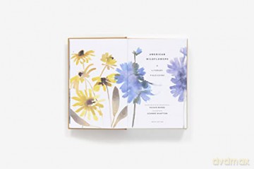 American Wildflowers A Literary Fi - Susan Barba [KSIĄŻKA]