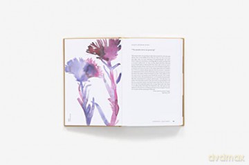 American Wildflowers A Literary Fi - Susan Barba [KSIĄŻKA]