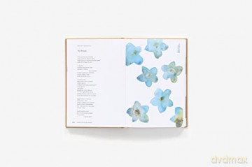 American Wildflowers A Literary Fi - Susan Barba [KSIĄŻKA]