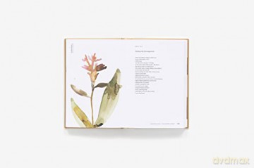 American Wildflowers A Literary Fi - Susan Barba [KSIĄŻKA]